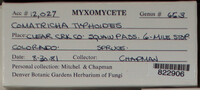 Image Associated With the Occurence